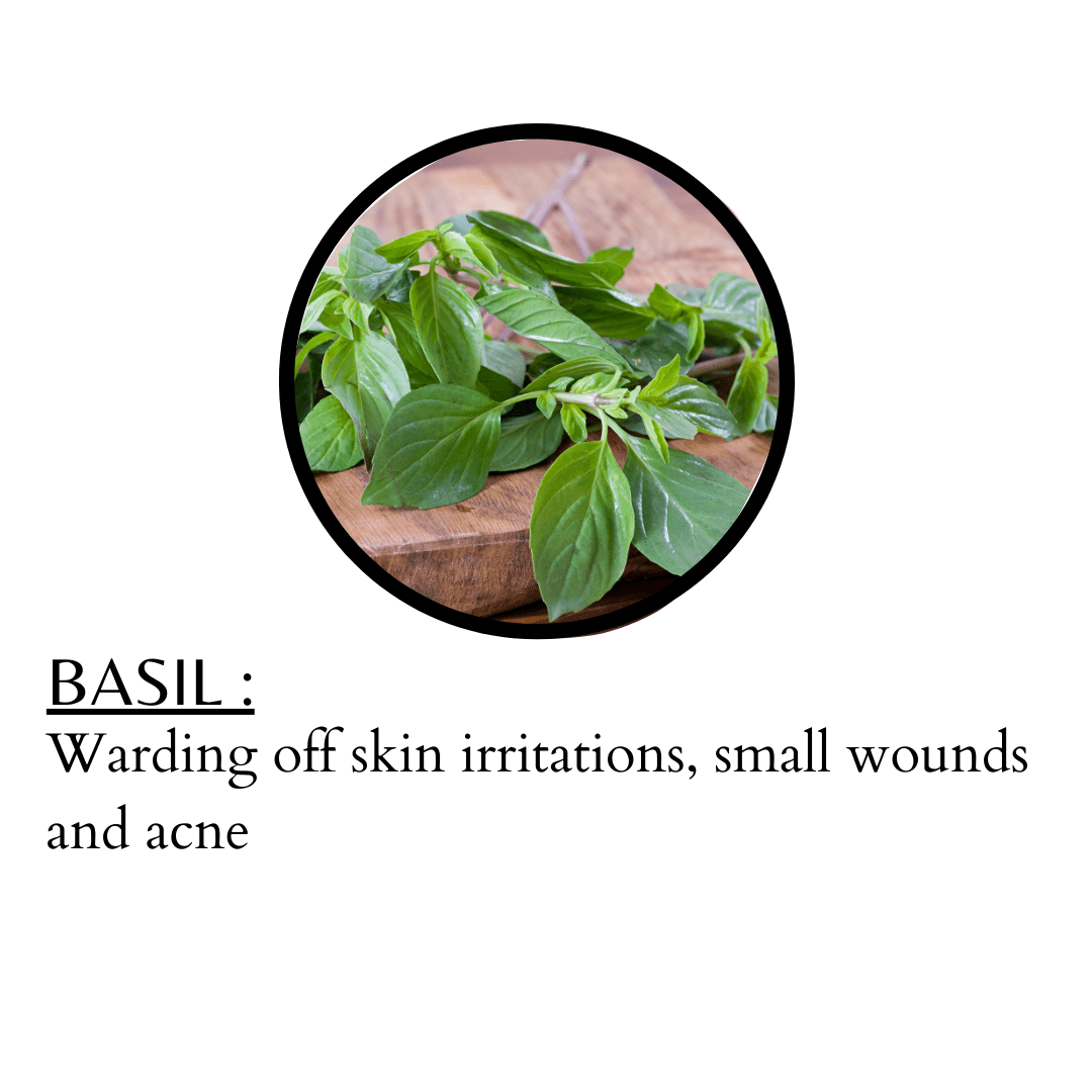 BASIL FACE PACK